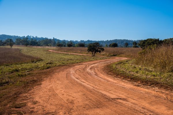 Dirt Driveway Repair in Ogden