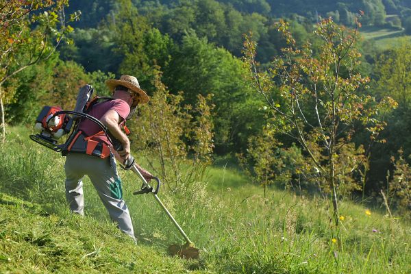 Cost of Slope Trimming in Ogden